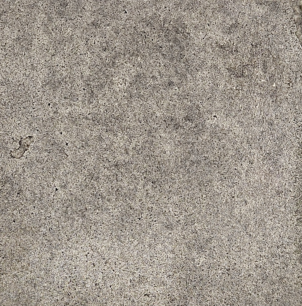 Échantillons - Peau de béton | Fini brut 4''x4''